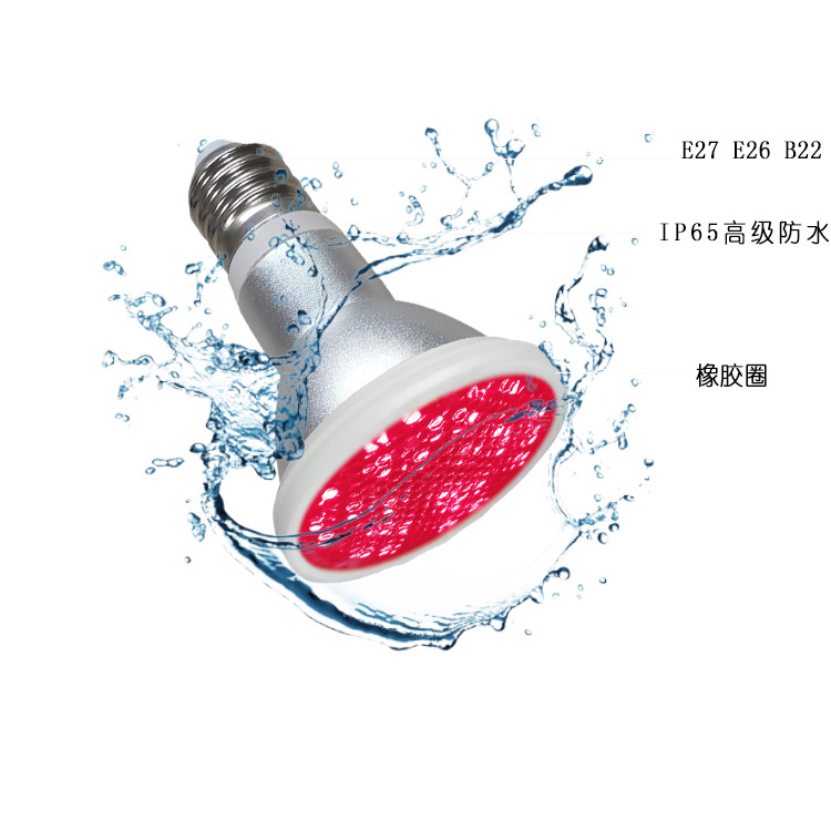 ¿5W 7WƶⲹPARLEDֲ̫