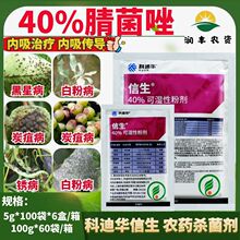 �Ƶ��A ����-40%����������ǲ��׷۲�̿�Ҳ��P���������rș