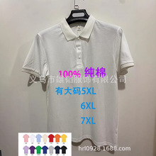 רҵ��ó�� ��2026�¿�POLO������ѷ���ڷ�����ض��䴿��