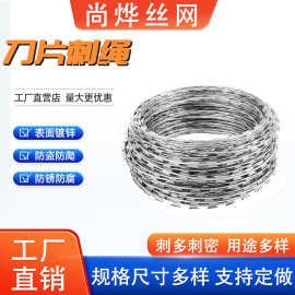 304不锈钢刀片刺绳机场监狱围墙防盗爬刺网果园鱼塘铁蒺藜铁丝网