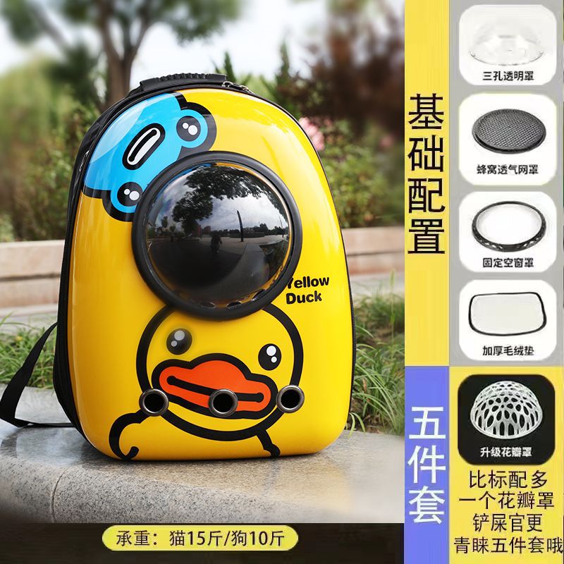 빨간부리노란오리 [검은색 원]