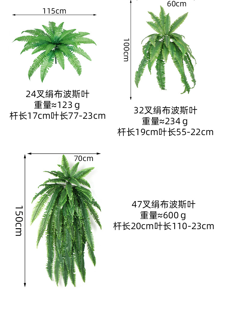 波斯草
