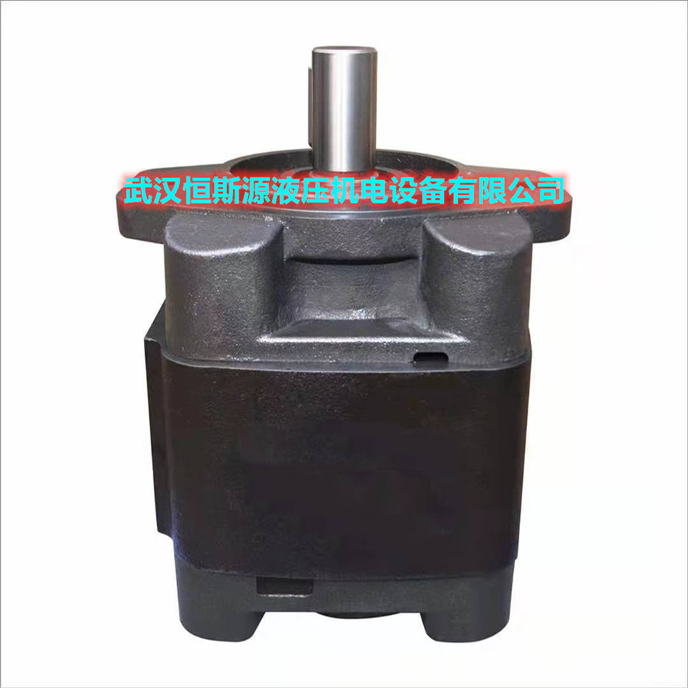 美国SUNNY桑尼士齿轮泵HG11-40-32-01R-VSC