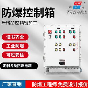 Factory Direct Sales Explosion-Proof Electrical Control Box Complete Set of Dust Gas Explosion-Proof Maintenance Control Box Carbon Steel Distribution Cabinet