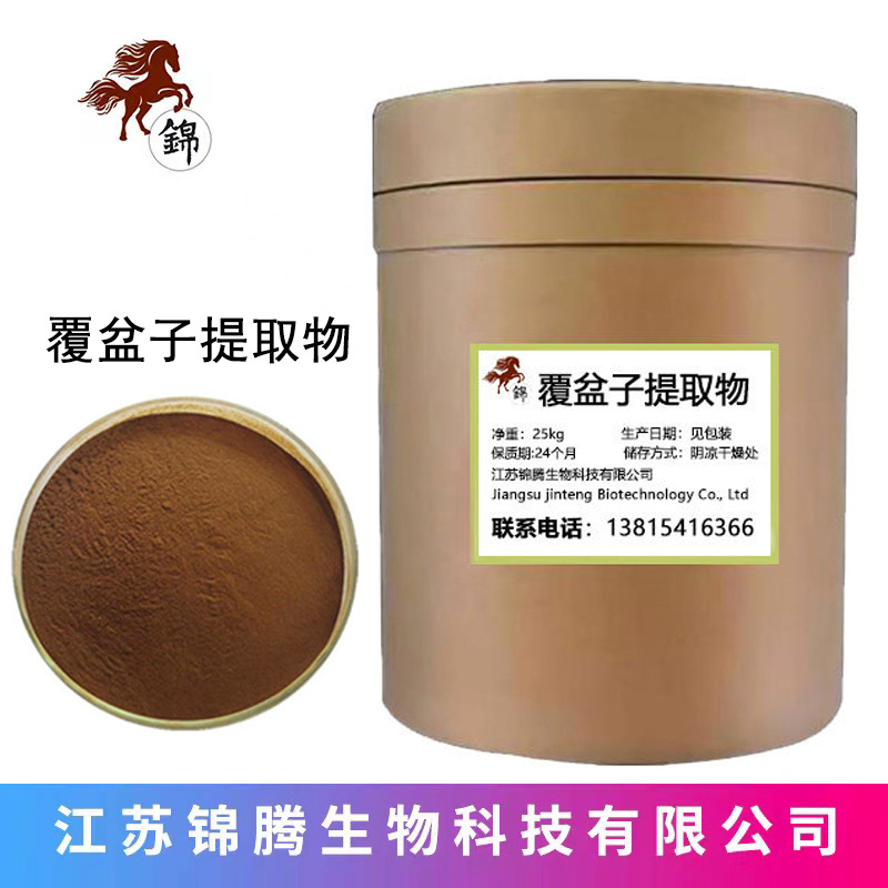 现货供应 覆盆子提取物 覆盆子果粉%99 覆盆子粉现货