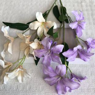 ����7�^�����m �羳��Ʒ��c�Ƶ���Ż��̈����@�廨�Ҿ��bٻ�