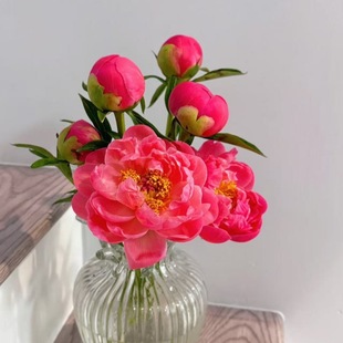 Peony Flowers Are about to Be Released, Direct from Yunnan Base, Suitable for Gift Bouquets, Weddings, Home Water Cultivation, and Office Flower Arrangements