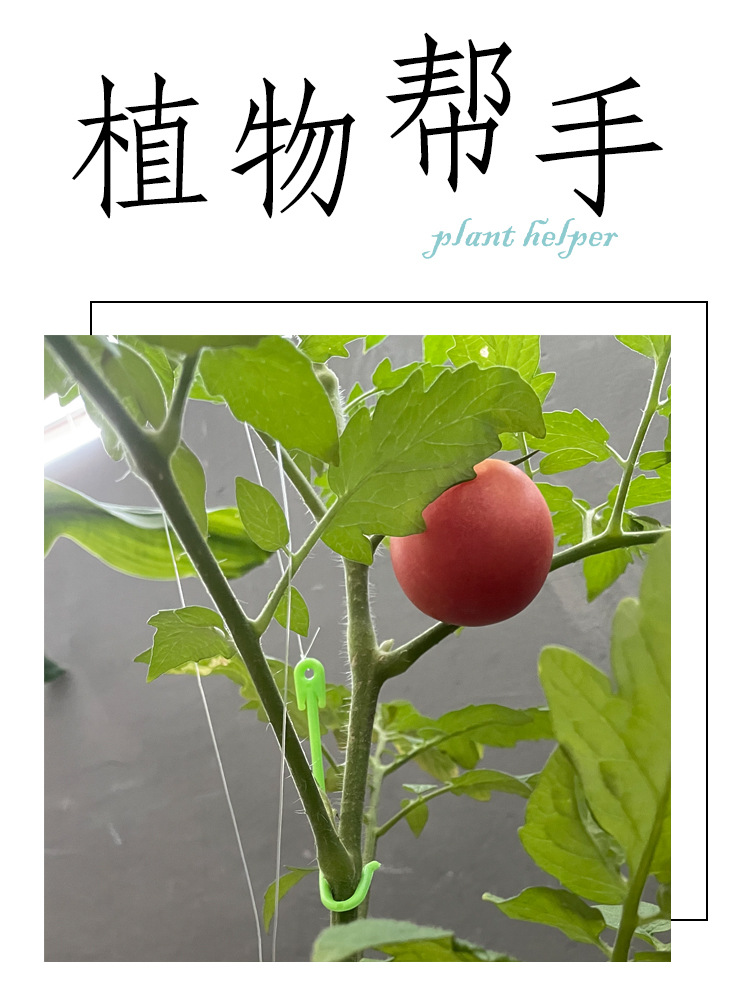 Plant Yoyo 可自动伸缩挂钩植物枝干矫正固定钩果实生长吊钩-阿里巴巴