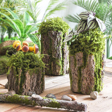 帝熙绿植苔藓树皮假树桩森系幼儿园田园风青苔摆件造景装饰可