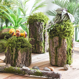 Gֲ̦\Ƥ٘䘶ɭϵ׃@@L̦[쾰b