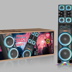 Bluetooth スピーカー DG-W1219. ダブル 12inch 工場直販屋外ワイヤレス スピーカー ライト付き南米インドネシアに輸出