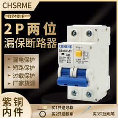 【】漏電保護スイッチ 2P 二極漏電遮断器 DZ47LE 電源主開閉器 家庭用安全小型