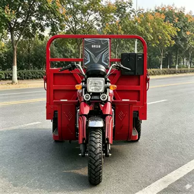 Popular for Southeast Asia Cross-Border Passenger – Sərnişin üçtəkərli motosikllar
