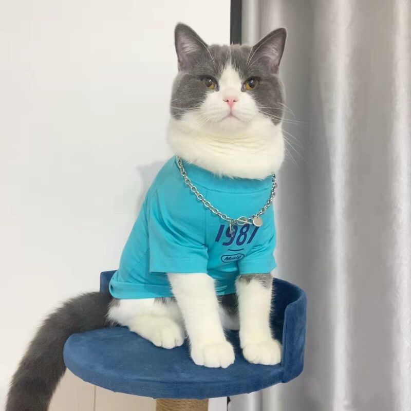 子猫服夏の薄手毛落ち防止半袖ぬいぐるみ青猫英短公猫子猫ペット服|undefined