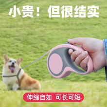 KԄs޹СȮ̩Ͽ»ƷK