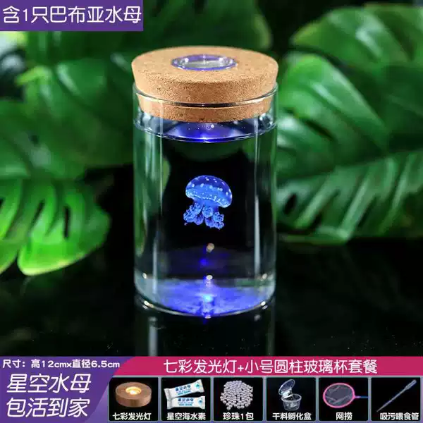 Small cylindrical luminous cup + 1 Papua