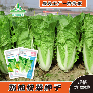 �S�����l���Ϳ�˷N�Ӵ����＾�ļ������͟��s��С�ײ˷N�������