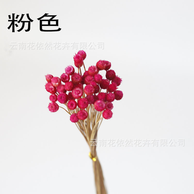 Flor seca Flor eterna Gypsophila Bola de oro No me olvides Flor seca Rosa hoja de eucalipto Pine Fruit Lover Grass al por mayor