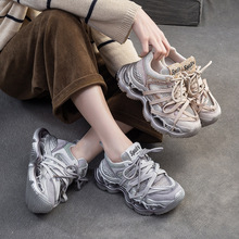 2025�ļ��¿���ϵ�Ь���ٴ�r���@�߱��߲������eЬ