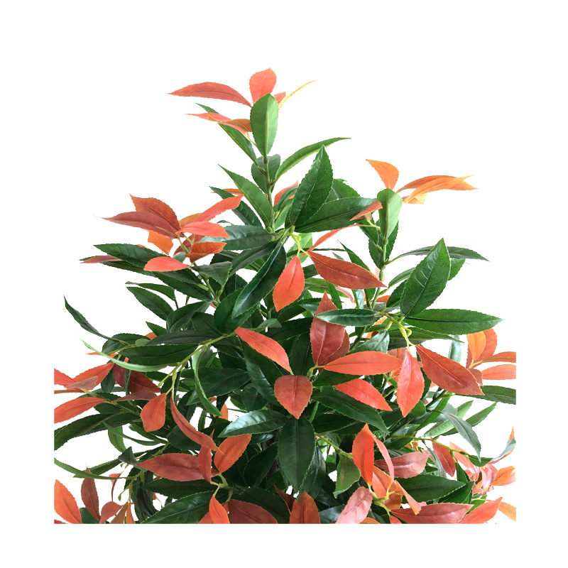 XRS-046 新桂花叶1 (1).jpg