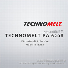 TECHNOMELT PA 6208 N ɫ