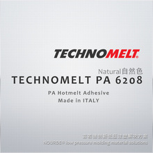 hTECHNOMELT PA 6208 N ɫw