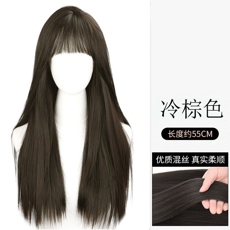 Dm762 cool brown [long straight hair with bangs 65cm]