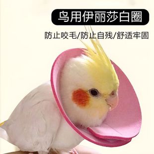 ���P�W�^����ɯ��Ȧ�܂����o�Ȧ��Ƥĵ������ë�B�÷���ҧë����