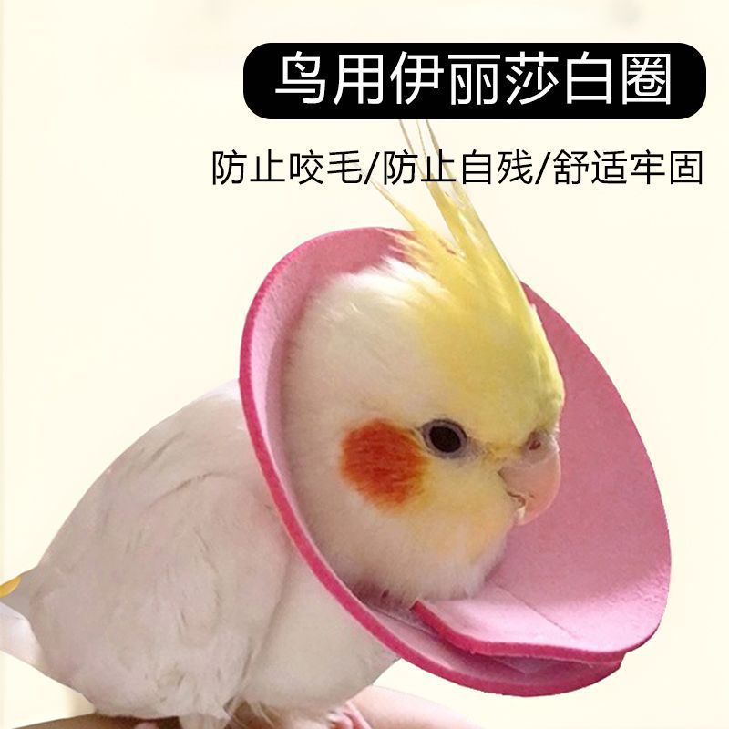 Budgerigar Elizabeth Collar Injury Protection Collar Tiger Rose Anti-pecking Bird Use Anti-biting Feather Neck Collar