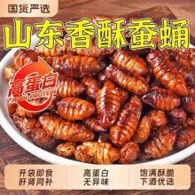 【低价蚕蛹】香酥蚕蛹开袋即食山东特产下酒菜油炸新鲜蚕蛹熟食干