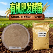 �ЙC�ʰl�;����ݼS���r����ն�����ѷʰl�;�