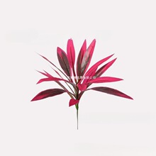 �羳�¿�Artificial Ti Plant�����ֲ��������ľ��Ѫ��