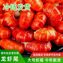 新货龙虾尾冷冻鲜活小龙虾特级无冰衣龙虾尾虾球鲜冻批发生鲜