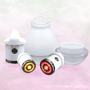 Ems Beauty Instrument, Facial Vibration Massager, Skin Care Product Introduction and Absorption Beauty Instrument