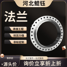 大口徑碳鋼卷制板式法蘭帶頸對焊法蘭大鍛造高壓標准異形不銹鋼