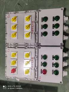 Explosion-proof Control Box with Leakage Protection BXX52 Explosion-proof Socket Lighting Power Distribution Box Zhejiangchuang Explosion-proof BXM