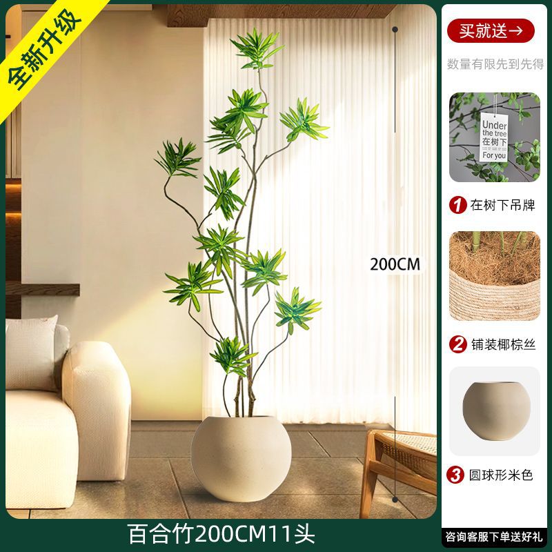[W Ruyi Bamboo] Chậu đá đầu 200CM11