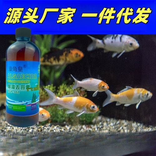 Fish tank algae remover green algae removal agent blue moss killer algaecide for goldfish pond green water brown algae thread black beard algae remover