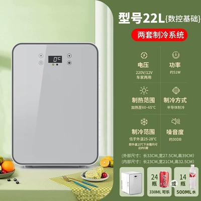 Refrigerator for Car and Home Use, Soyuducular - cncdual-core-model-22l-silver-basic-car-home-use