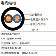 �������a��������׼��|���J�C��о�o�׾� RZ1-K(AS�� 0.6 1kV