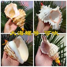 ?��Ȼ�����ڴ������̖ؐ����ˇƷ����С�Y�ͯ��ߴ�̖����