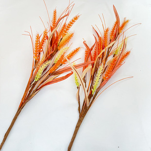 ����������־����ȵ�����滨�S�չ�ins���W�L�ж���ˮ���廨