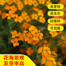 SNӾ^G׷NͥԺNֲ̨҃ԻN