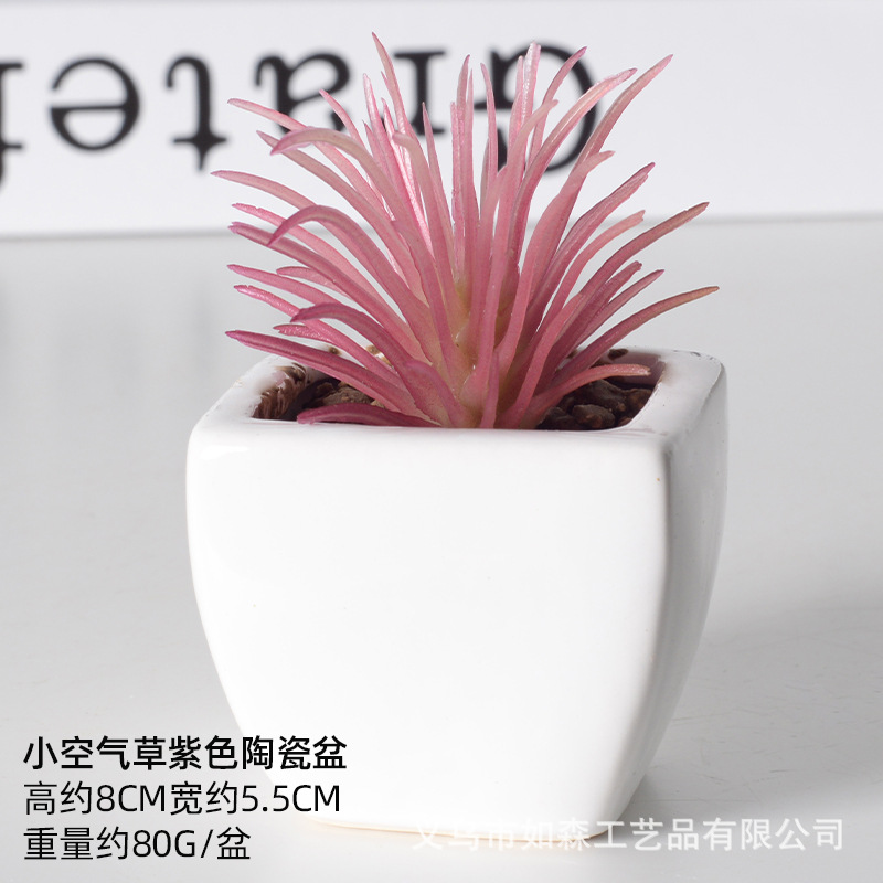 Simulación de cerámica bonsai de carne doméstica decoración de escritorio de oficina plantación verde maceta props de disparo maceta combinada artificial image 55