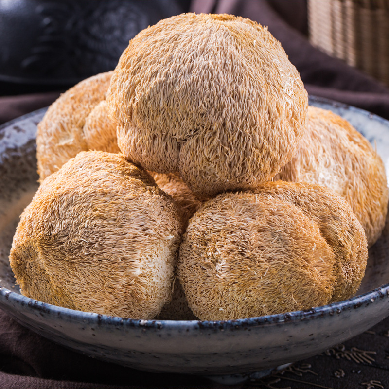 Gutian Hericium fresh and dry goods sulfur-free bulk Hericium wholesale edible fungi wholesale dropshipping