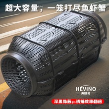 �����~�\���~�W���~�\���r�W�\���r�W�S�X���q��̖ץ�~�W