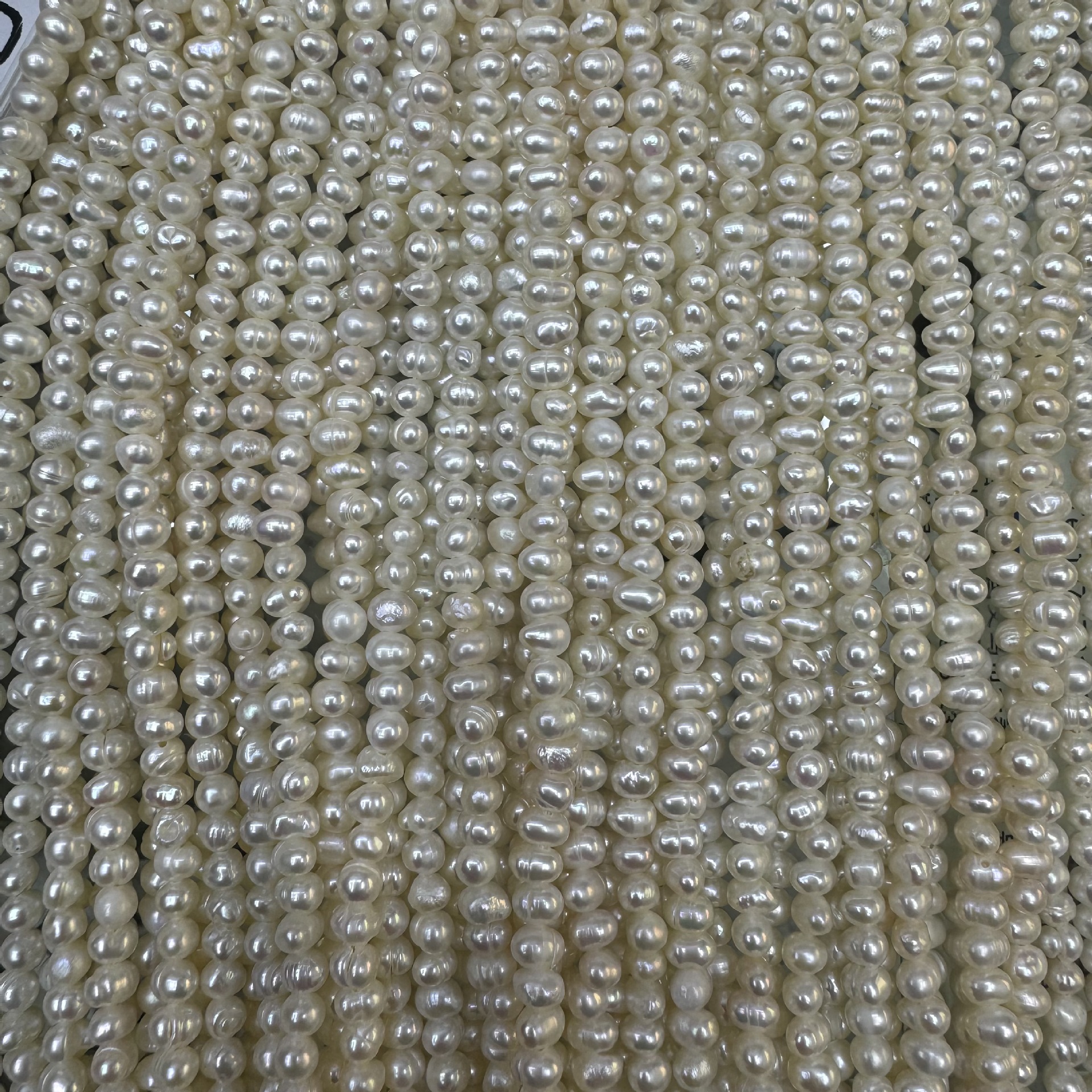 7E979B7C7439843EDB8C6804C579FD