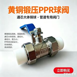 PPR�����~���y  ȫ�~�~���~�U��  ���ͼӺ�202532 1.6MPA ���w