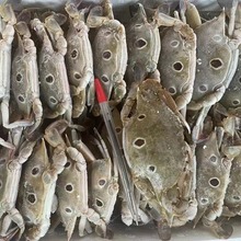 �������cз����з�t������з��з�r�����з7��/1��������r����