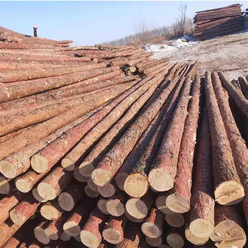Pine tree poles, larch pine piles, logs, garden decoration, river piling support poles, engineering construction materials